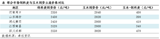 卓创资讯:饲用小麦替代明显 三季度玉米行情将如何演绎