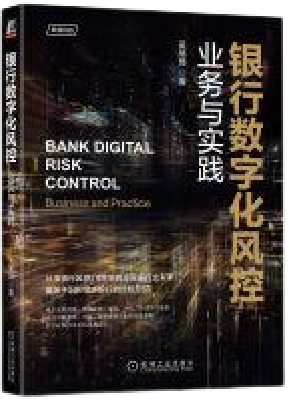 银行数字化风控：业务与实践