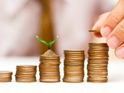 生态环境部首席法律顾问别涛：低碳转型对金融机构提出要求