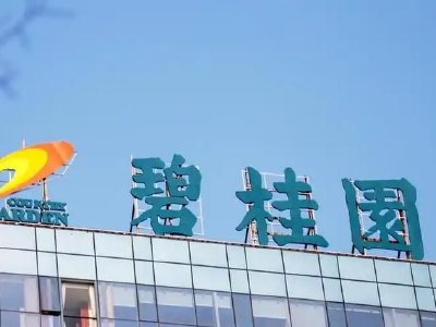 碧桂园因强制性可转换债券获转换而合计发行3005.8万股