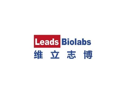 维立志博-B午前涨逾8% 公司获纳入恒生综合指数有望入通