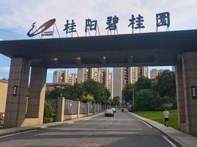碧桂园因强制性可转换债券获转换而发行1066.03万股