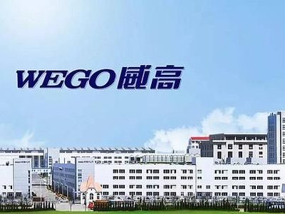 威高股份于2月20日斥资30.64万港元回购6万股