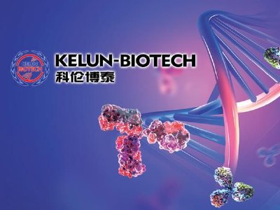 科伦博泰生物-B与科伦嘉讯订立2026年辅助性市场管理服务框架协议