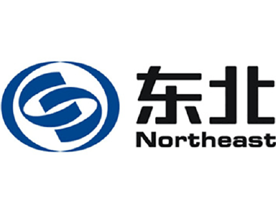 东北证券次级债发行利率偏高 IPO保荐“独苗”会计基础是否薄弱待考