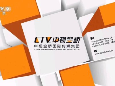 中视金桥发布年度业绩 股东应占溢利8004.3万元同比下降25%