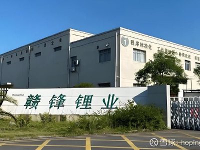 赣锋锂业股东李良彬解除质押550万股股份
