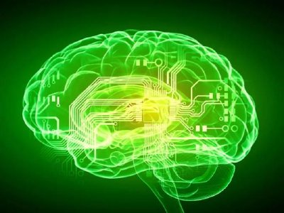 微创脑科学授出合共55万份购股权