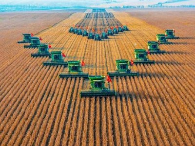 中国北大荒遭China Dynamic (Hong Kong) Limited减持1850.4万股