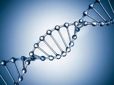 九源基因已就H股全流通事项向中国证监会完成备案