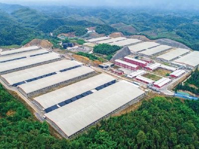 德康农牧于4月2日斥资215.7万港元回购3.29万股