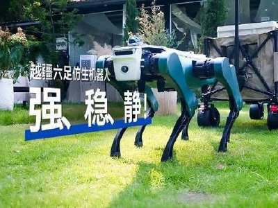 越疆授出合共250万份购股权