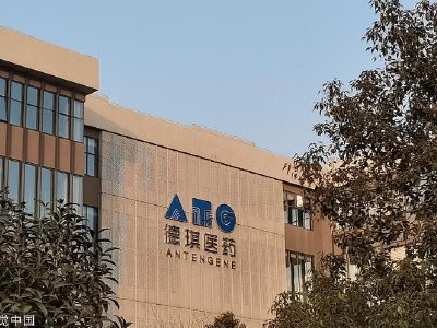 德琪医药-B授出合共190万份购股权及25万份受限制股份单位