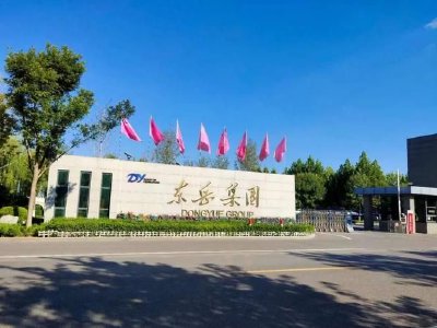 东岳集团现涨逾9% 东岳硅材预计一季度归母净利润同比增长397.02%至451.34%