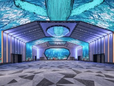 宝积资本授出1.205亿份购股权