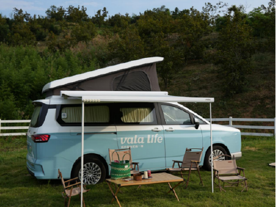 VALA授出合共1.30亿股奖励股份