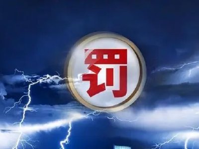 拖欠1.72亿 这家地方国企被上交所、证监局联合处罚！