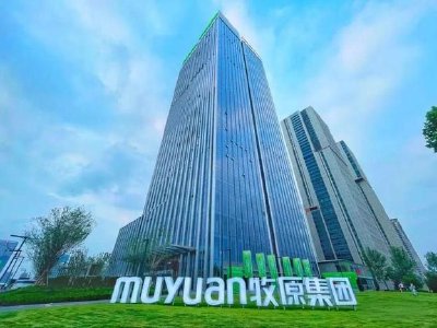 牧原股份午前涨逾4% 机构指母猪去化提速强化中期改善预期