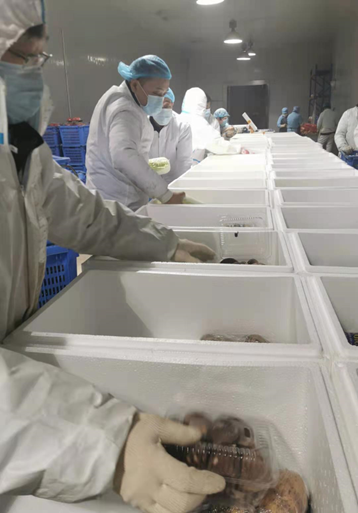 民生银行石家庄分行组织开展“抗疫菜篮进百家”活动