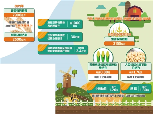 去年共购粮食7900亿斤 国家将压实米袋子省长负责