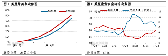 卓创资讯:美豆优良率稳定 出口有所好转