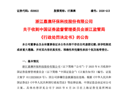 嘉澳环保年报旧账爆雷：沈健罚250万，90后董秘吴逸敏罚200万 | 长三角资本局