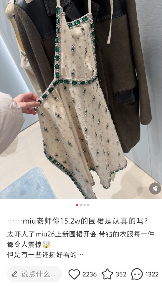 Miu Miu再推高价争议单品，镶钻“围裙”售价超15万元 | 贵圈