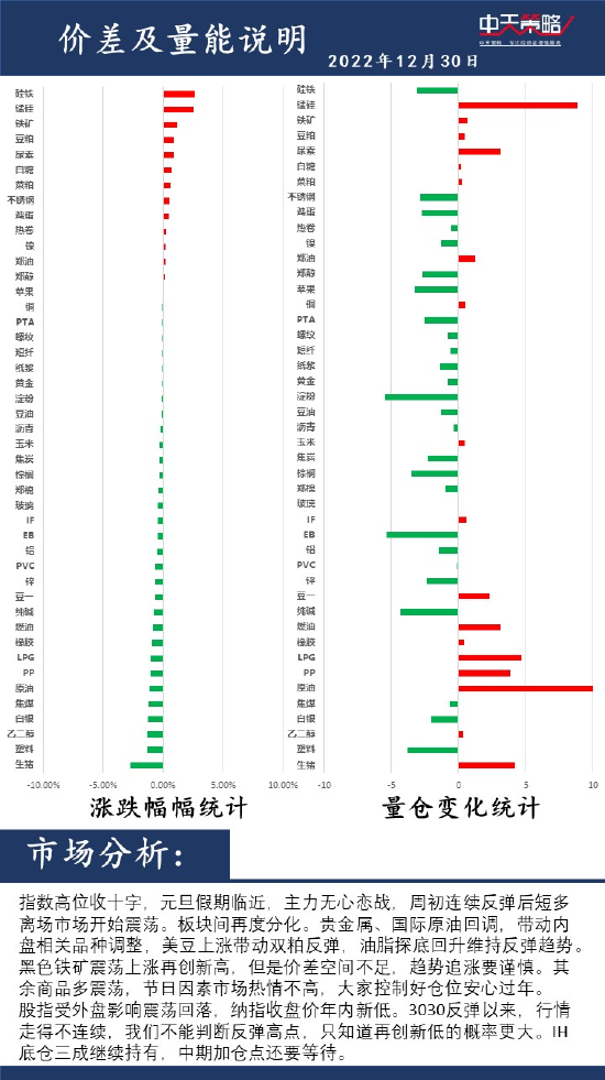 中天策略:12月30日市场分析