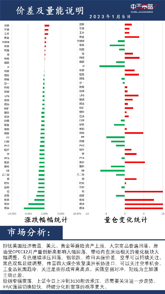 中天策略:1月5日市场分析