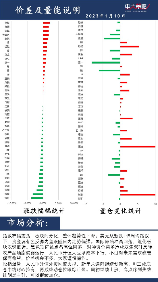 中天策略:1月10日市场分析