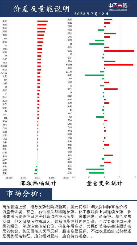 中天策略:7月12日市场分析