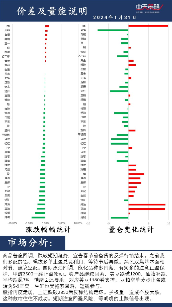 中天策略:1月31日市场分析