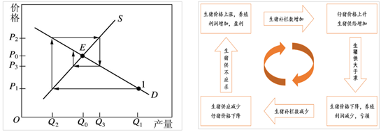 猪价进入寒冬，降本增效成为行业主旋律