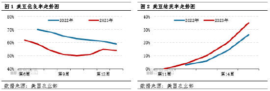 卓创资讯:美豆生长数据好转 豆粕价格高位震荡