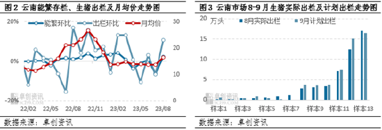卓创资讯:金九猪价“滇”簸 四季度或恢复季节性规律