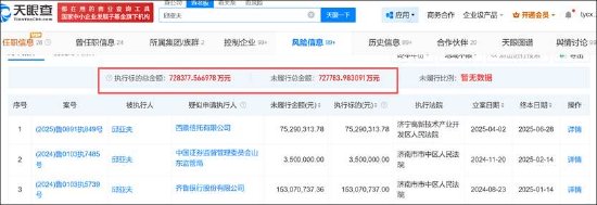 如意集团被控股股东掏空？遭监管两次立案调查