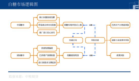 白糖反转,未来可期?