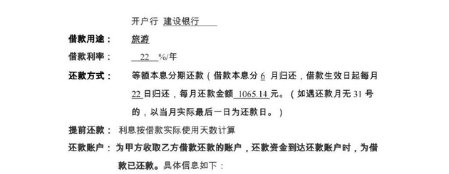 *李先生的还款明细以及借款合同,截图来自受访者