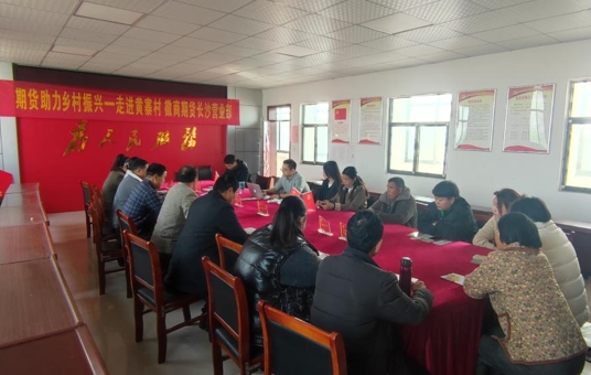 徽商期货长沙营业部赴界首市黄寨村开展乡村振兴活动_新浪财经_新浪网