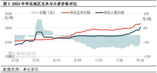 卓创资讯:余粮见底玉米价格刷新高位 下旬供需紧张缓解或难再涨