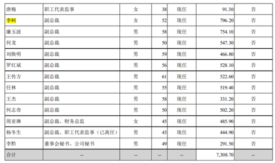 图片来源：比亚迪公告