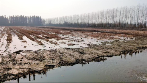 “不干就输了”，退伍老兵虾田创业，借力分期乐普惠盘活四百亩小龙虾