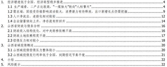 蒋飞:山西经济分析报告