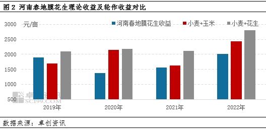 卓创资讯调研:2023季河南新花生播种面积恢复性增加