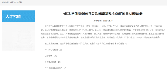 长江财险公开招聘总精算师