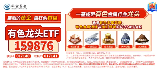 耗资5亿元!紫金矿业加码固态电池!有色龙头ETF(159876)盘中涨超2%,机构:有色或迎来“业绩+估值”提升