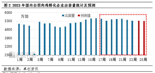 卓创资讯【白羽肉鸡】：6-7月市场行情或延续季节性下滑走势