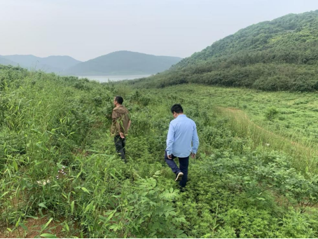 dy自助网站，24小时超低价，你还在等什么？