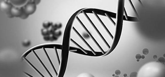 百名科学家联名反对 强烈谴责人体胚胎基因编辑 新浪财经 新浪网 百名科学家联名反对 强烈谴责人体胚胎基因编辑 新浪财经 新浪网