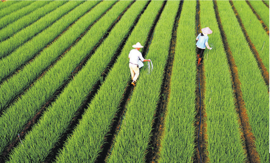 “聚力服务“三农” 铺就乡村幸福路